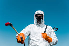 Best Termite Inspection and Treatment  in Mccordsville, IN